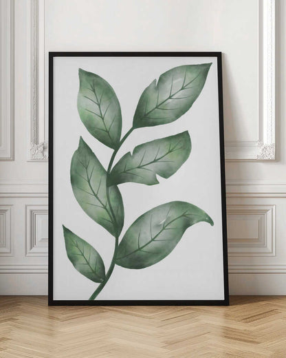 Fresh Green Botanical Leaves