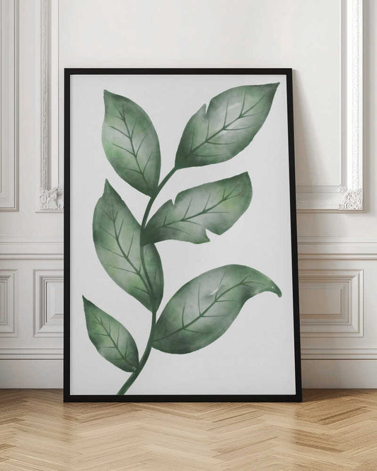 Fresh Green Botanical Leaves