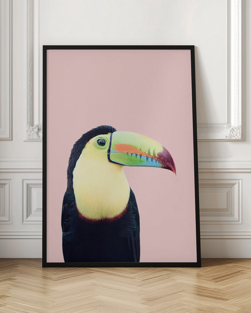 Toucan on Pink | Bird wall art