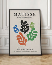 Load image into Gallery viewer, Matisse floral poster 7
