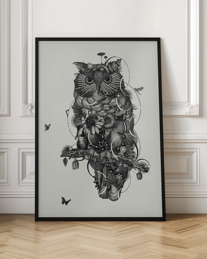 Owl