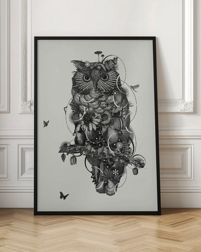 Owl