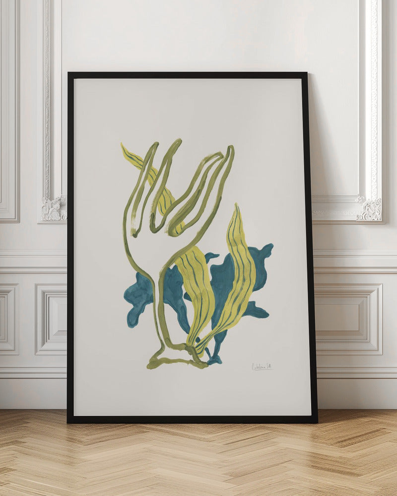Algae No2
