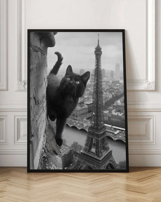 Kitty in Paris