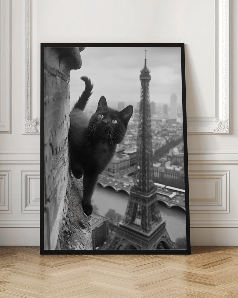 Kitty in Paris