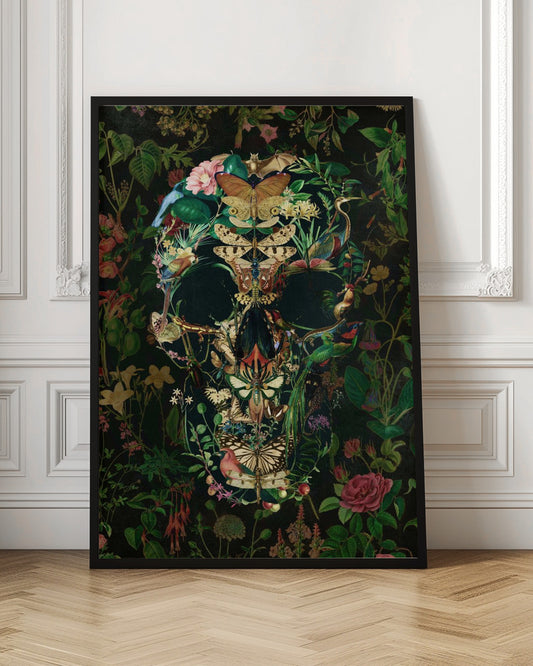 Papillon Skull