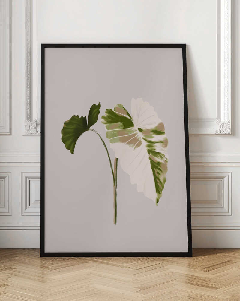 Filodentro Tropical Leaves
