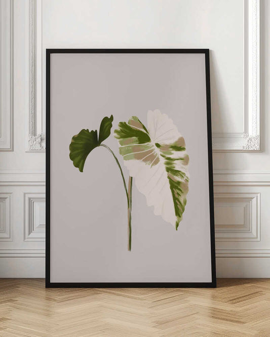 Filodentro Tropical Leaves