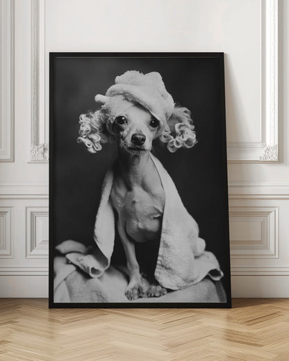 Spa Day Pooch