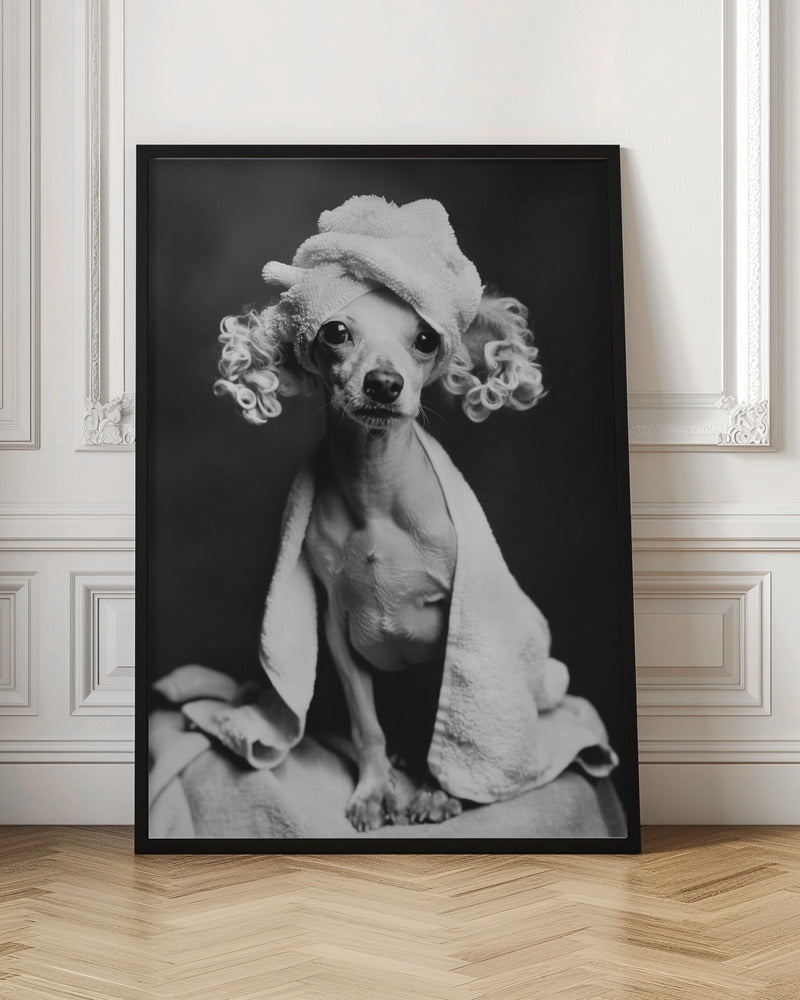 Spa Day Pooch