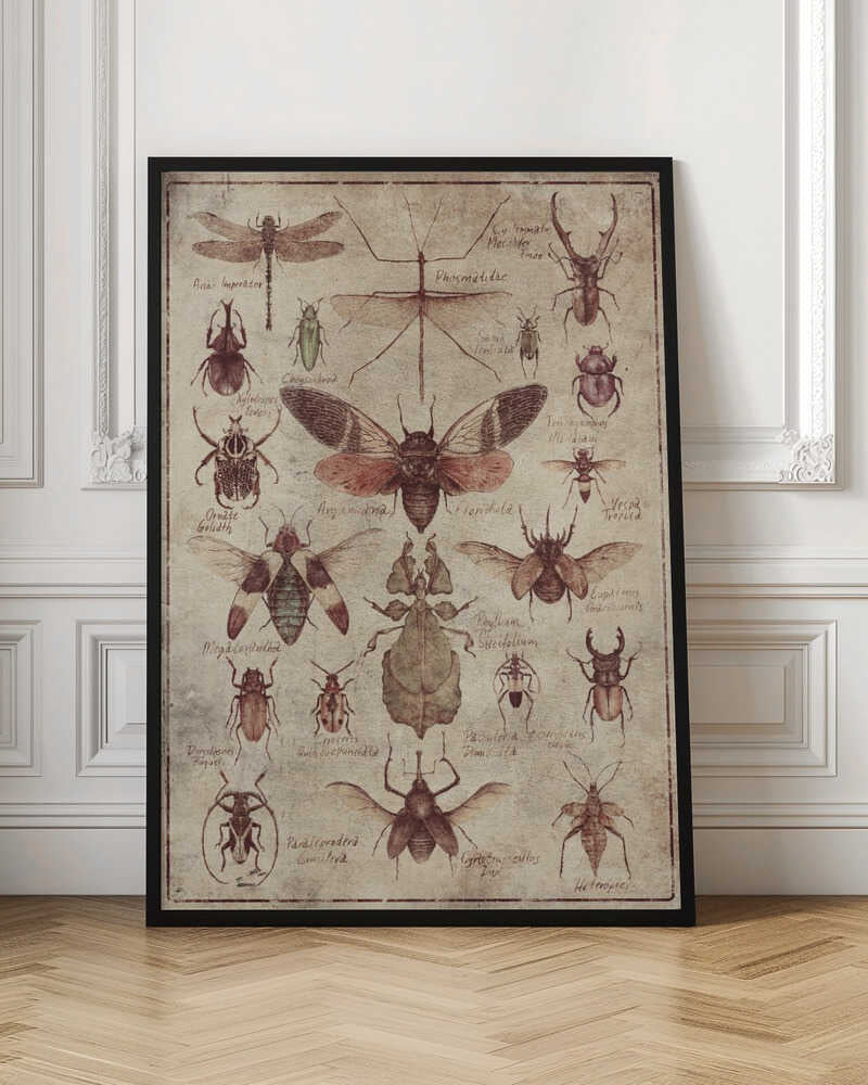 Vintage-style  Insects