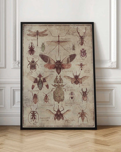 Vintage-style  Insects