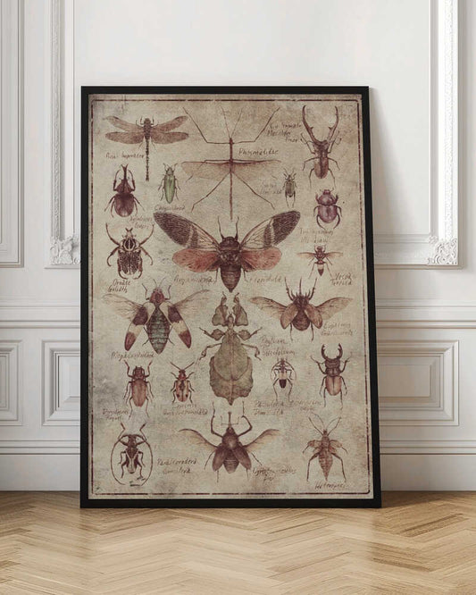 Vintage-style  Insects