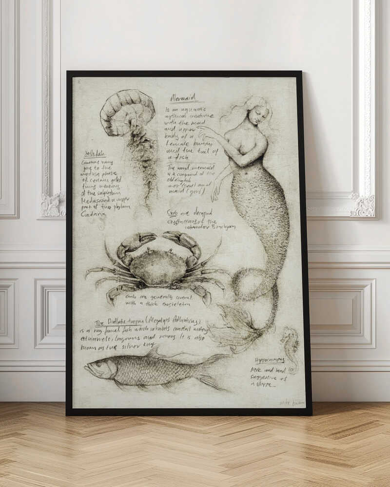 Mythical And Marine Creatures