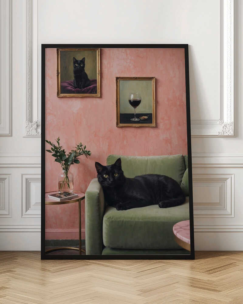 Black Cat On Green Sofa