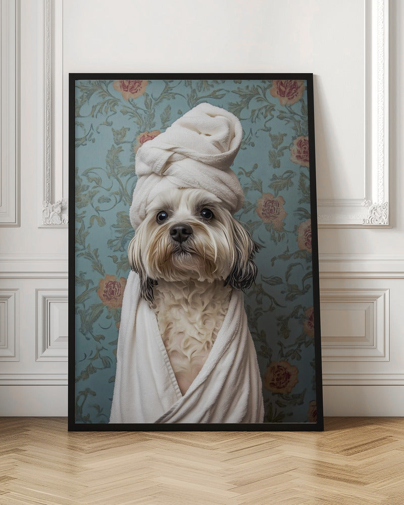 Spa Day Pooch