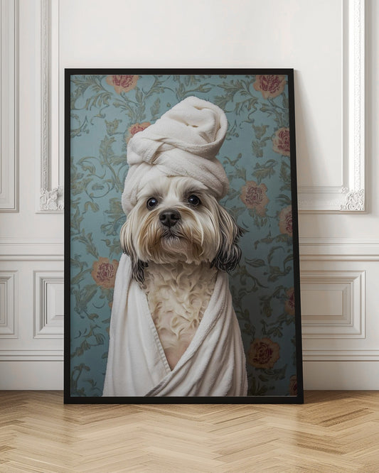 Spa Day Pooch