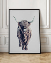 Load image into Gallery viewer, Highland Cattle Colin White
