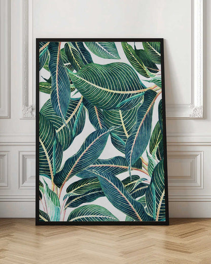 Edge and Dance Botanical