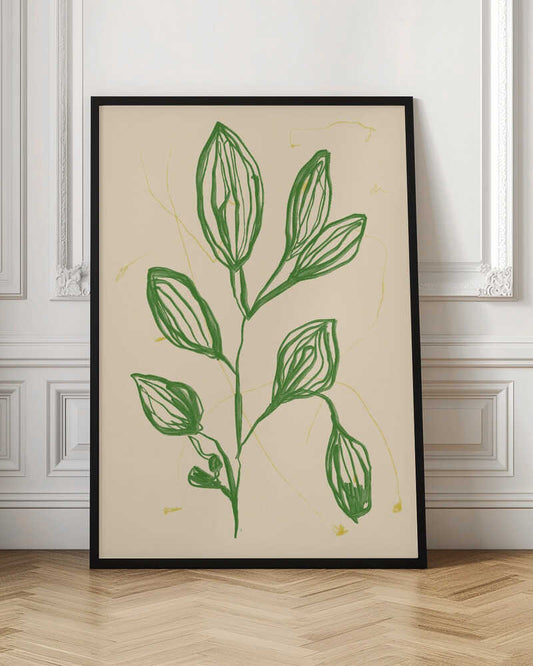 Delicate Botanical Study