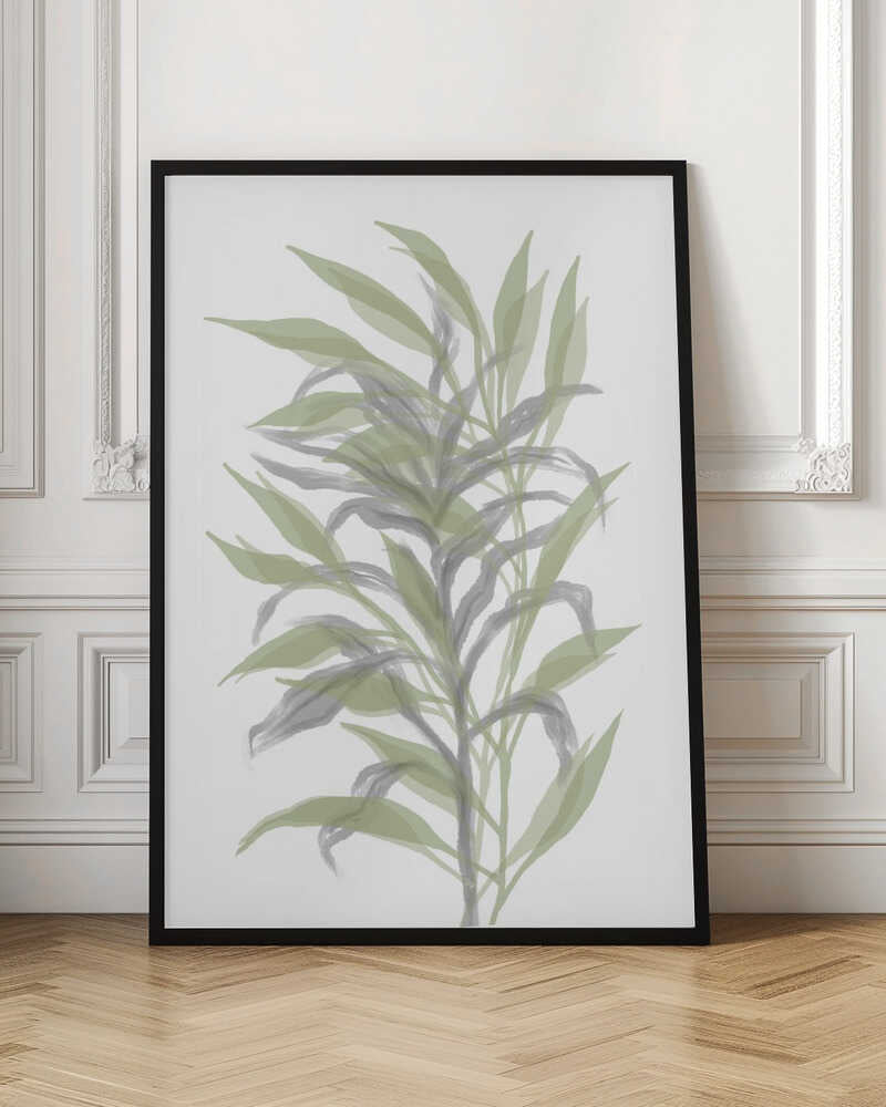 Soft Green Botanicals
