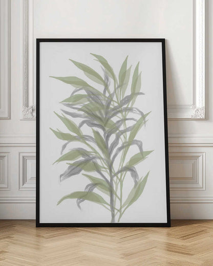 Soft Green Botanicals
