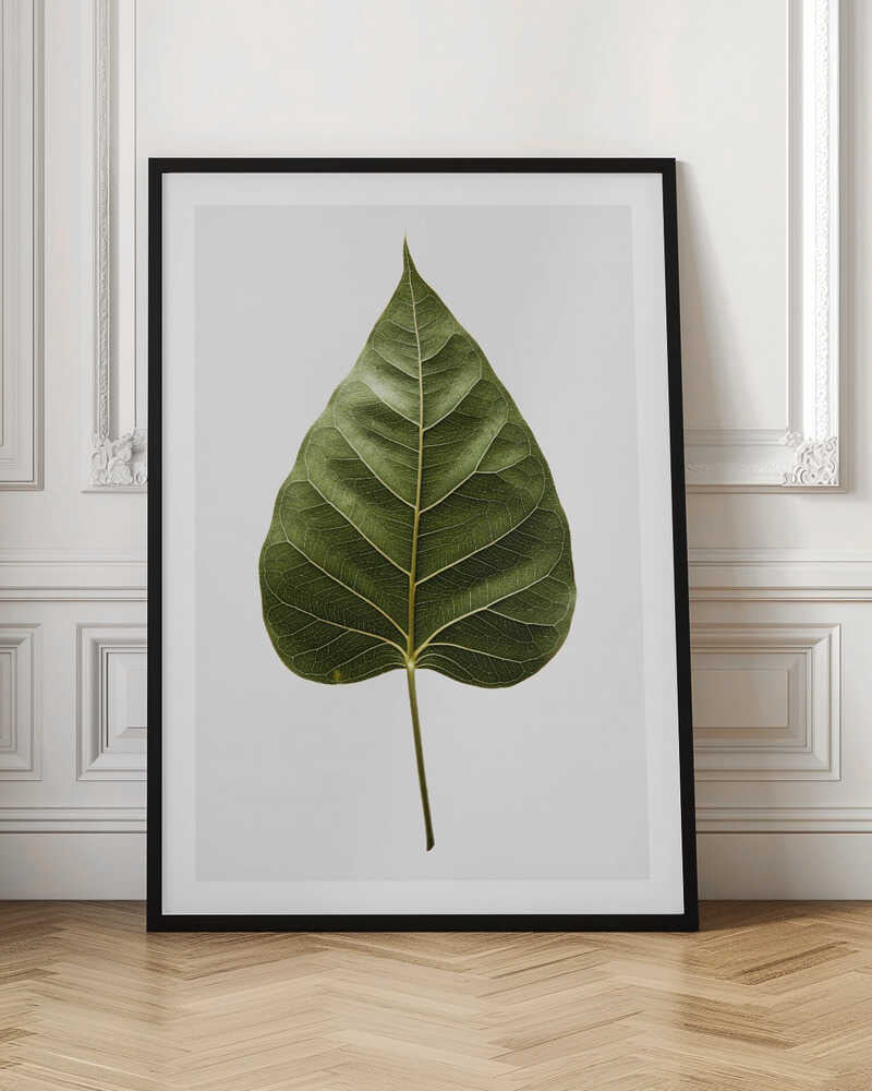 Green Leaf Detail