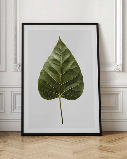 Green Leaf Detail