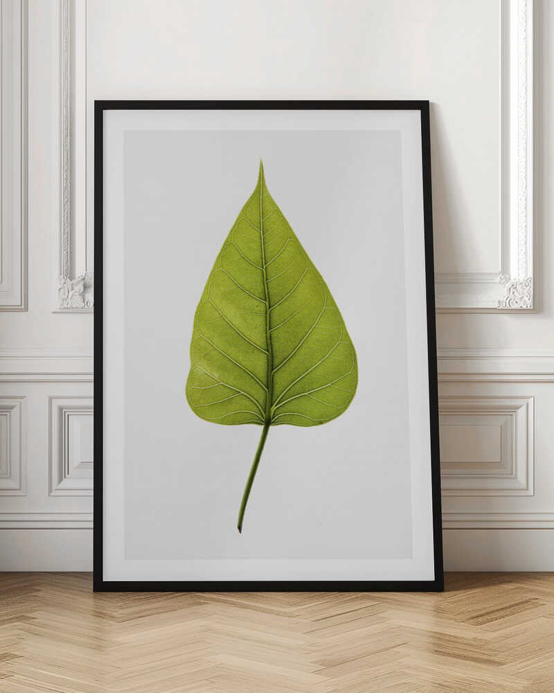 Vibrant Green Leaf