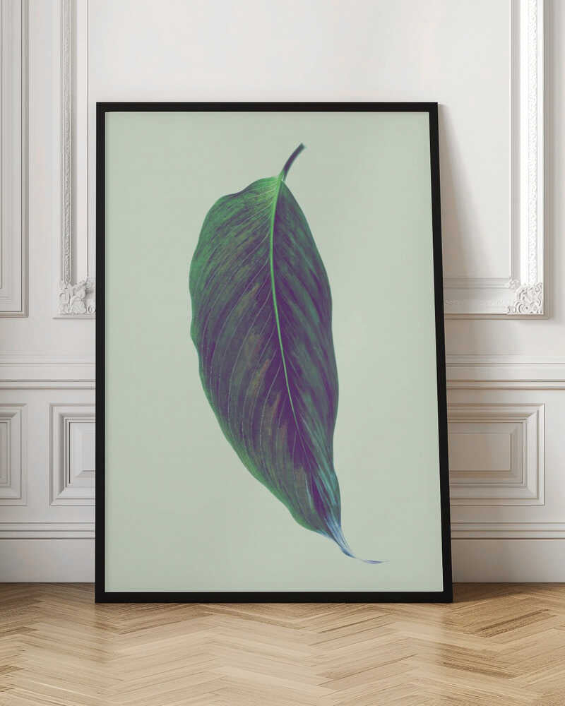 Serene Green Leaf