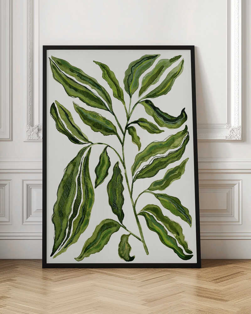 Organic Green Leaves