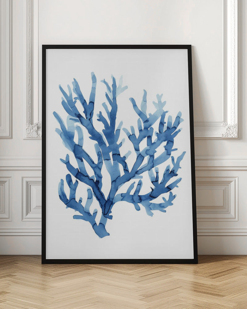 Indigo Reef Harmony