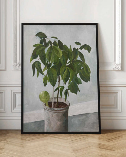 Still Life Potted Plant