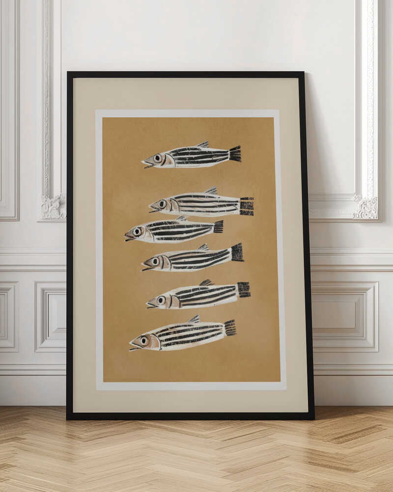 Minimal Fish Study