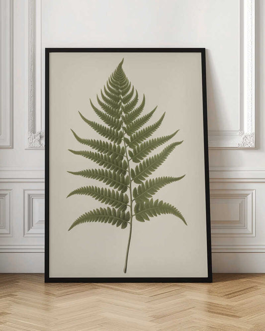 Elegant Fern Botanical