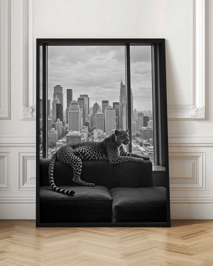Conceptual Photography