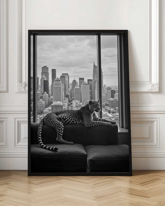 Conceptual Photography