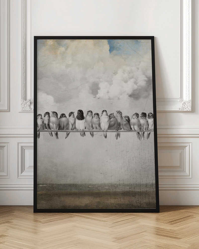 All the Pretty Birds