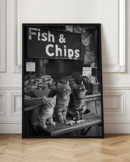 Hungry Kittens