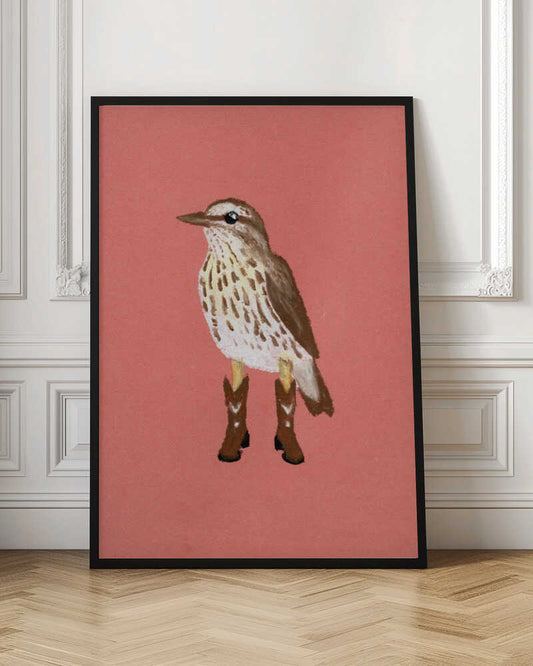 Northern Waterthrush