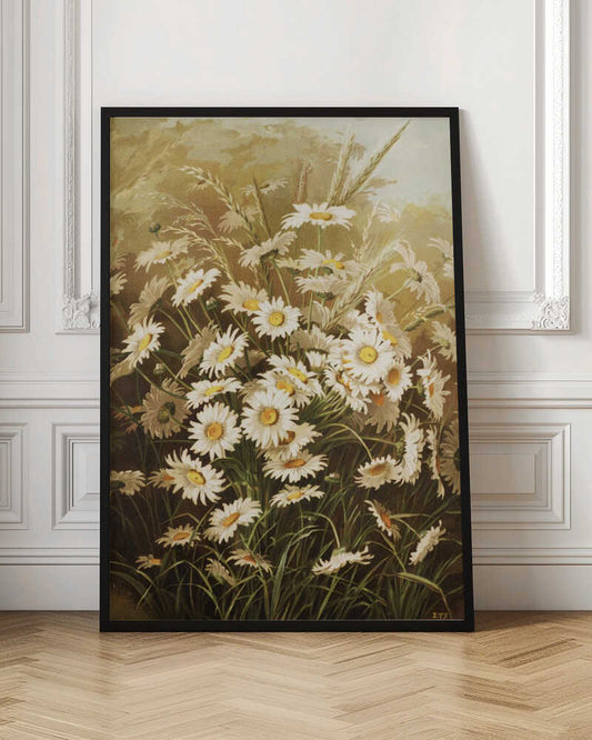 Daisies By Ellen Thayer Fisher