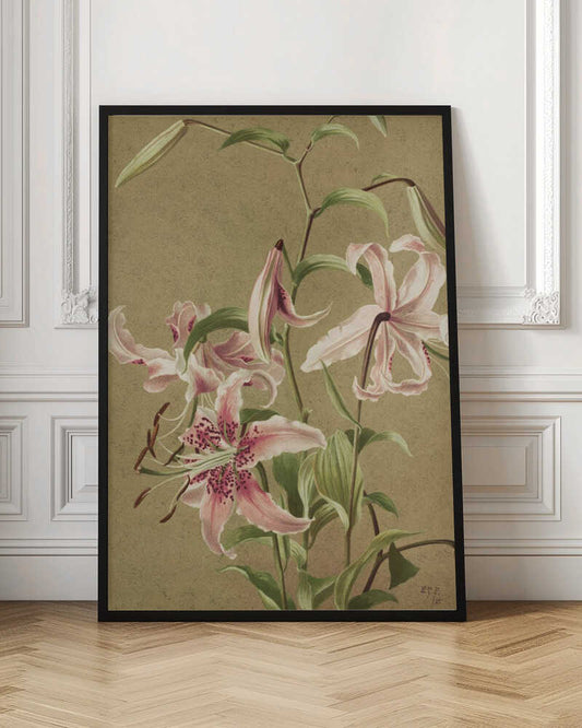 Japan Lily By Ellen Thayer Fisher