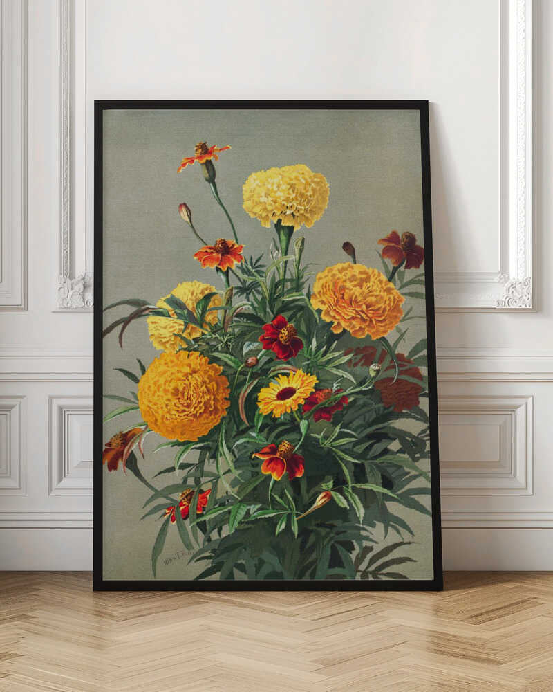 Marigolds