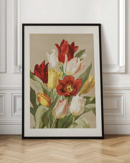 Tulips By Ellen Thayer Fisher