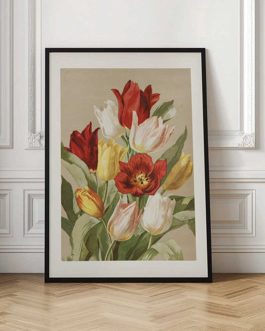 Tulips By Ellen Thayer Fisher