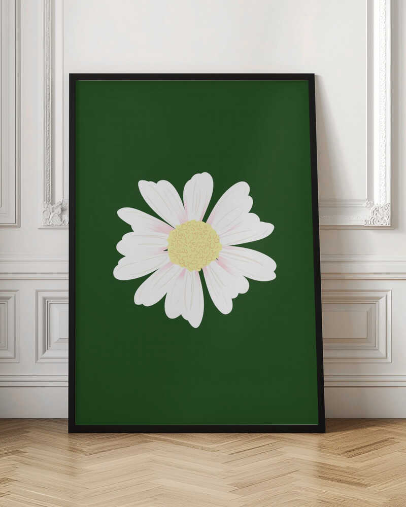 White Daisy Bloom