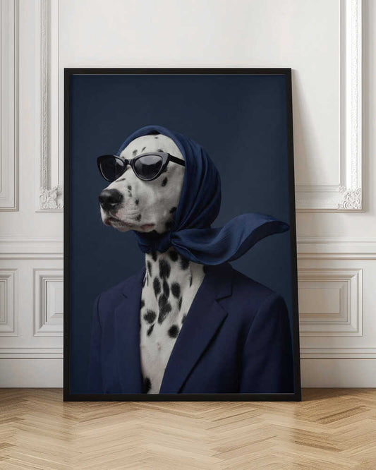 Dalmatian Fashion Photo Shoot