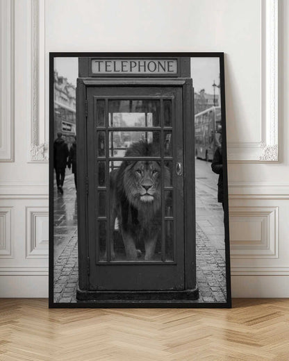 London Lion Booth