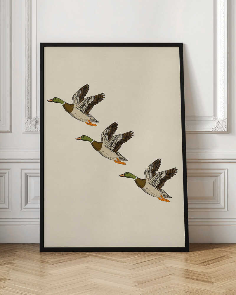Mallards in Flight