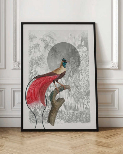 Moonlit Jungle Bird